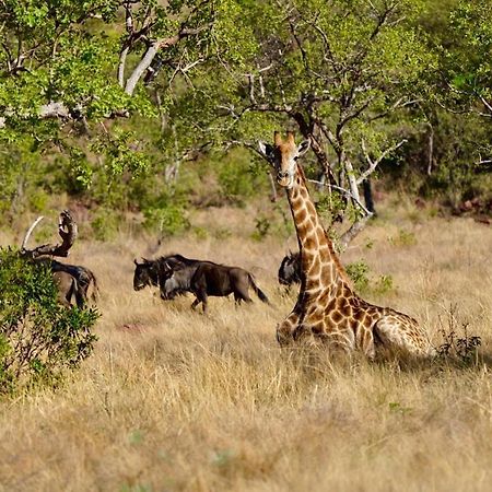 Waterberg Game Lodge เบอลา-เบอลา ภายนอก รูปภาพ