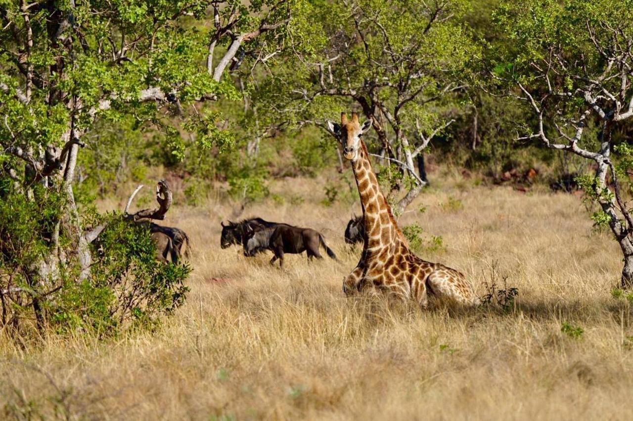 Waterberg Game Lodge เบอลา-เบอลา ภายนอก รูปภาพ